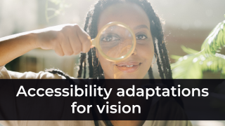 Accessibility Adaptations for Vision Image